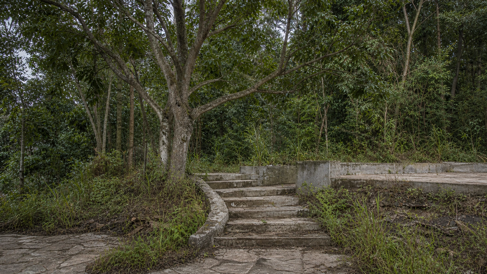 VERDE — Demo conceptual Jardín descuidado antes de la intervención